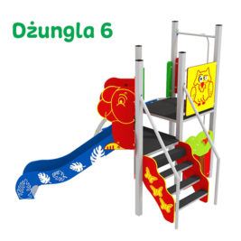 Dzungla6